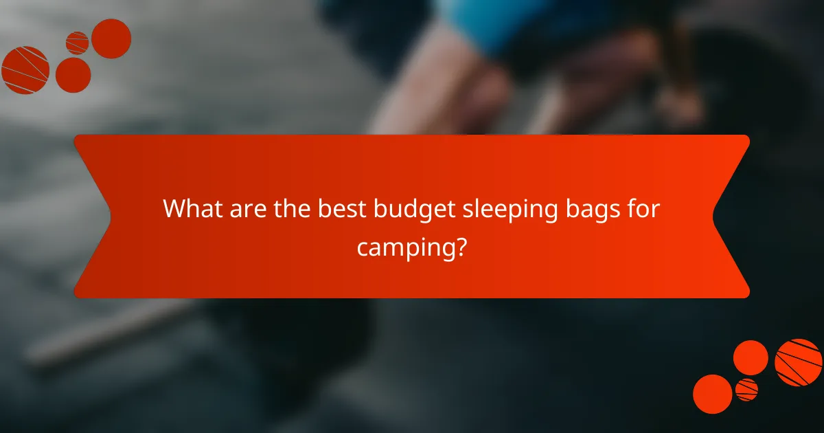 What are the best budget sleeping bags for camping?