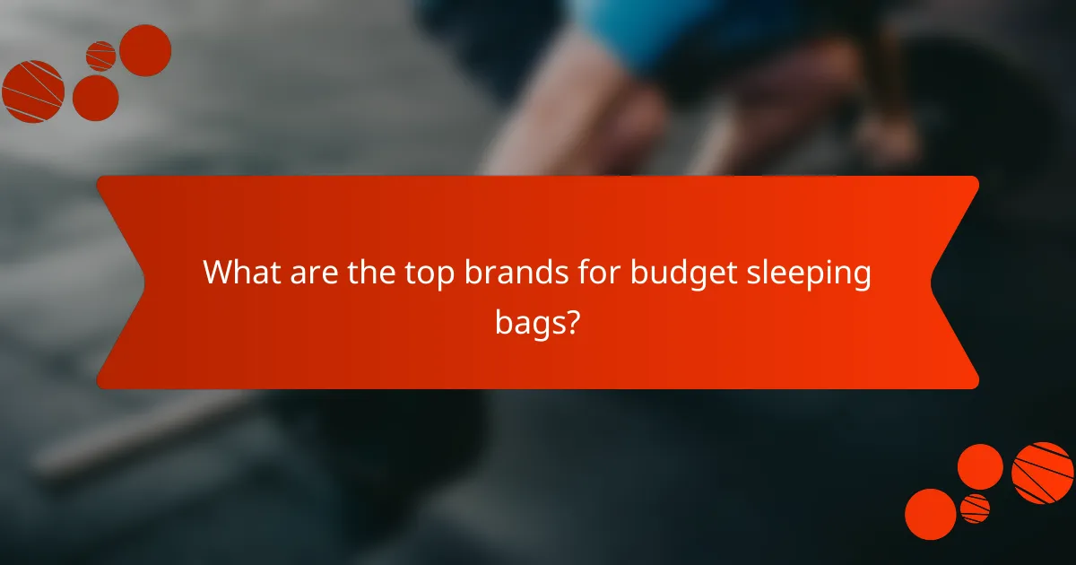 What are the top brands for budget sleeping bags?